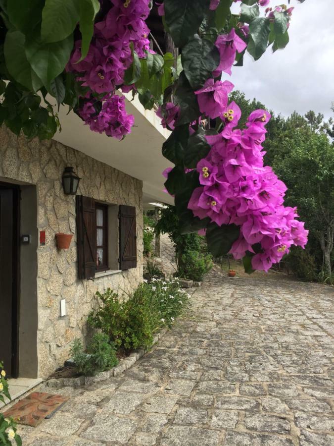 Villa De Fujacos Valenca Exteriér fotografie